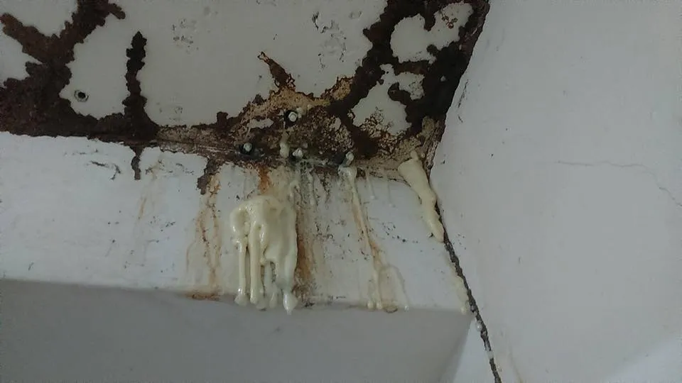 天花板滲水怎麼辦？皇禹治水天花板抓漏教你2小時內找出漏點