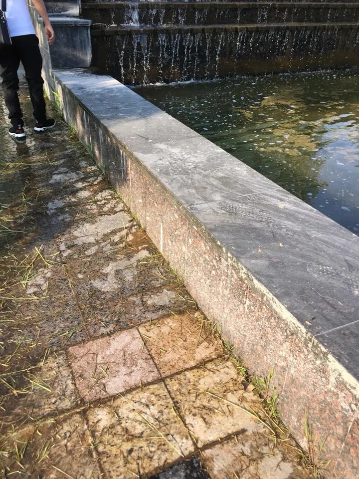 3分鐘看懂桃園皇禹治水防水抓漏,如何一次解決工廠水池滲漏的問題